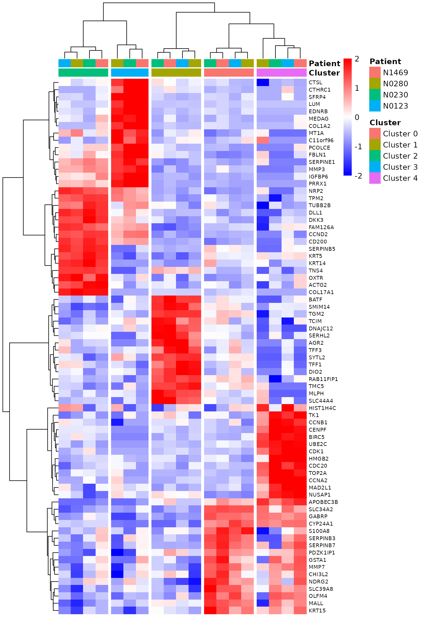 Heat map of the top marker genes.